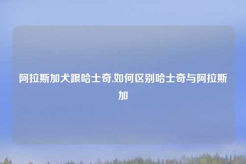 阿拉斯加犬跟哈士奇,如何区别哈士奇与阿拉斯加
