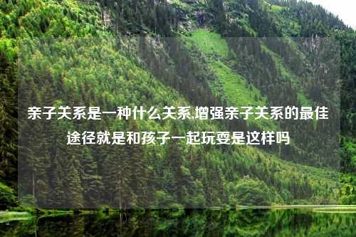 亲子关系是一种什么关系,增强亲子关系的最佳途径就是和孩子一起玩耍是这样吗