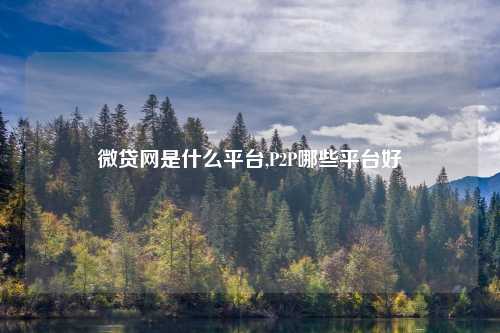 微贷网是什么平台,P2P哪些平台好