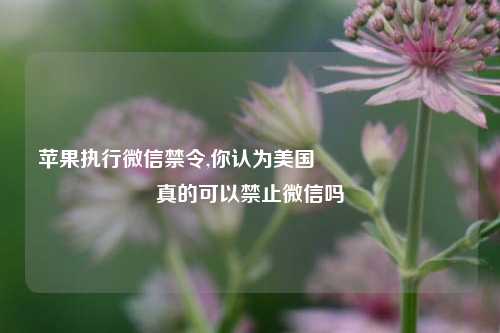 苹果执行微信禁令,你认为美国🇺🇸真的可以禁止微信吗