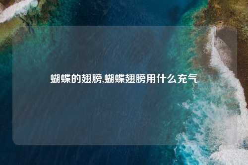 蝴蝶的翅膀,蝴蝶翅膀用什么充气