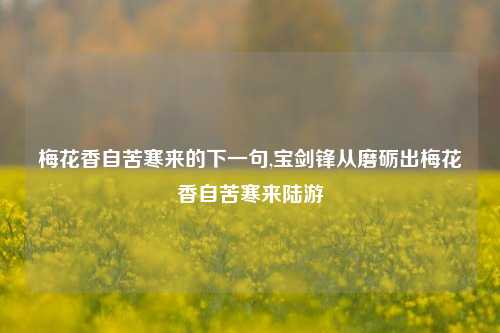 梅花香自苦寒来的下一句,宝剑锋从磨砺出梅花香自苦寒来陆游