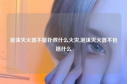 泡沫灭火器不能扑救什么火灾,泡沫灭火器不包括什么