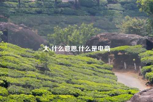 大v什么意思,什么是电商