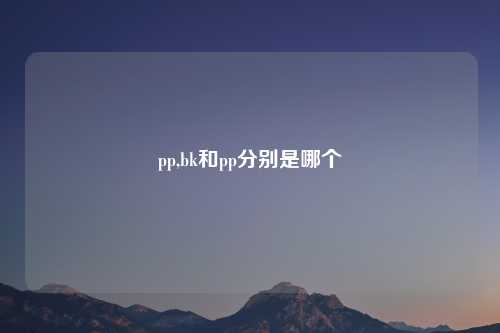 pp,bk和pp分别是哪个