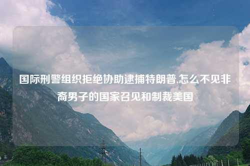 国际刑警组织拒绝协助逮捕特朗普,怎么不见非裔男子的国家召见和制裁美国
