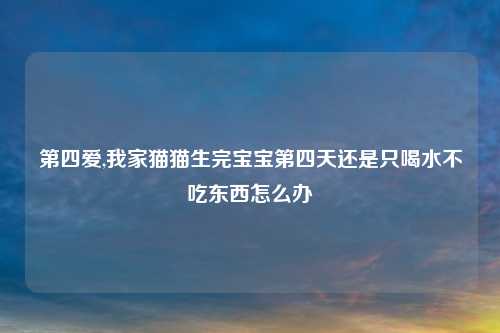 第四爱,我家猫猫生完宝宝第四天还是只喝水不吃东西怎么办