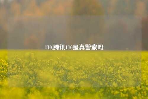 110,腾讯110是真警察吗
