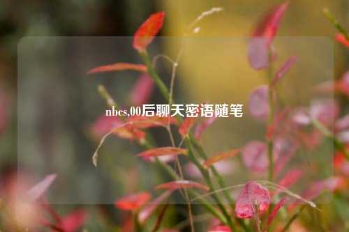 nbcs,00后聊天密语随笔