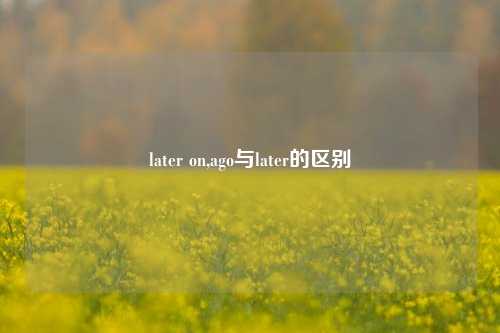 later on,ago与later的区别