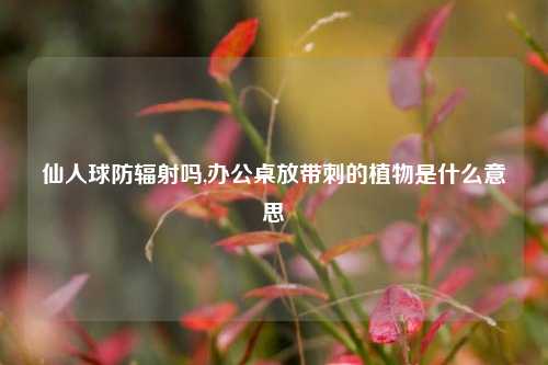 仙人球防辐射吗,办公桌放带刺的植物是什么意思