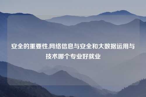 安全的重要性,网络信息与安全和大数据运用与技术哪个专业好就业