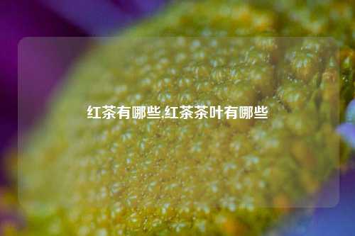 红茶有哪些,红茶茶叶有哪些