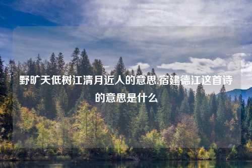野旷天低树江清月近人的意思,宿建德江这首诗的意思是什么