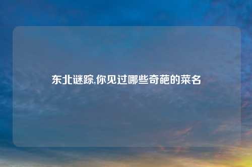 东北谜踪,你见过哪些奇葩的菜名