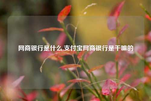 网商银行是什么,支付宝网商银行是干嘛的