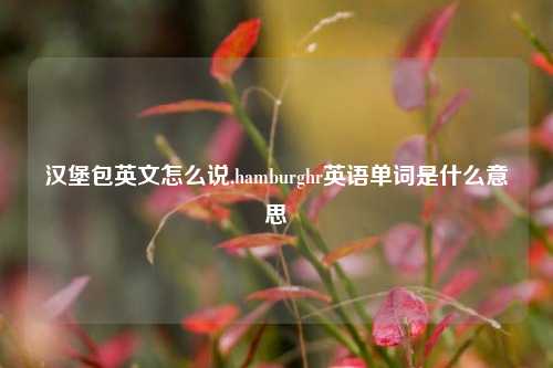 汉堡包英文怎么说,hamburghr英语单词是什么意思