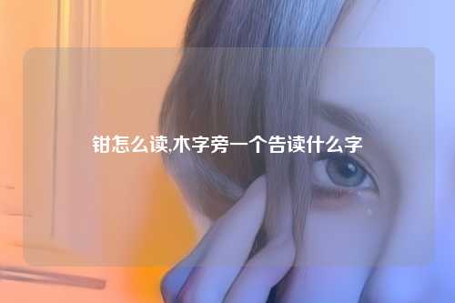 钳怎么读,木字旁一个告读什么字
