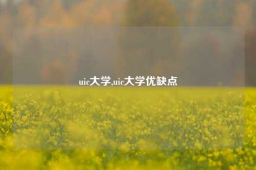 uic大学,uic大学优缺点