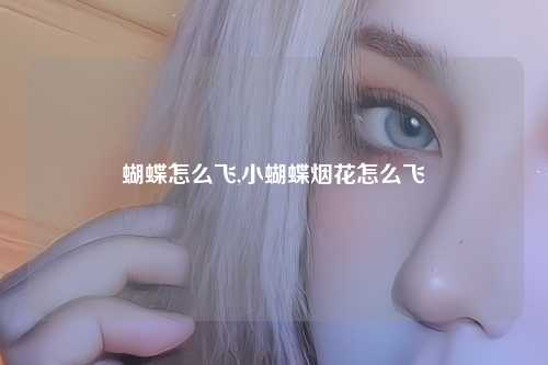蝴蝶怎么飞,小蝴蝶烟花怎么飞