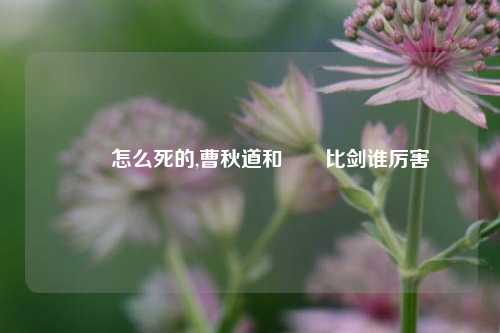 嫪毐怎么死的,曹秋道和嫪毐比剑谁厉害