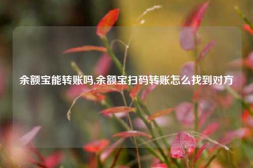 余额宝能转账吗,余额宝扫码转账怎么找到对方