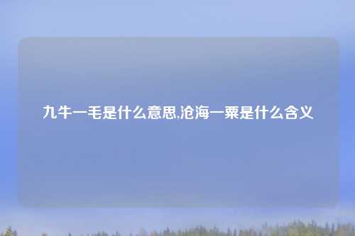 九牛一毛是什么意思,沧海一粟是什么含义