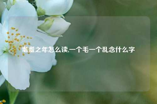 耄耋之年怎么读,一个毛一个乱念什么字