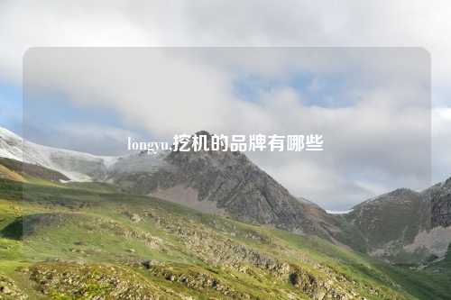 longyu,挖机的品牌有哪些