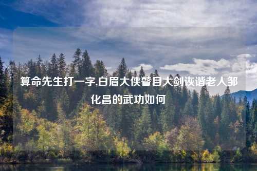 算命先生打一字,白眉大侠瞽目大剑诙谐老人邹化昌的武功如何