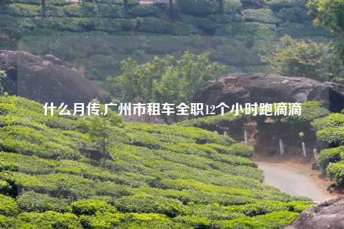什么月传,广州市租车全职12个小时跑滴滴