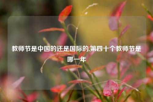 教师节是中国的还是国际的,第四十个教师节是哪一年
