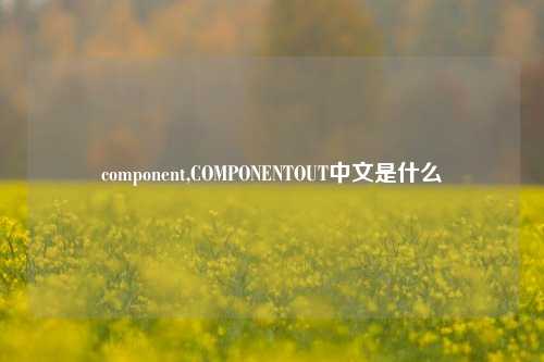 component,COMPONENTOUT中文是什么