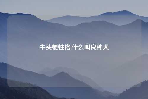 牛头梗性格,什么叫良种犬