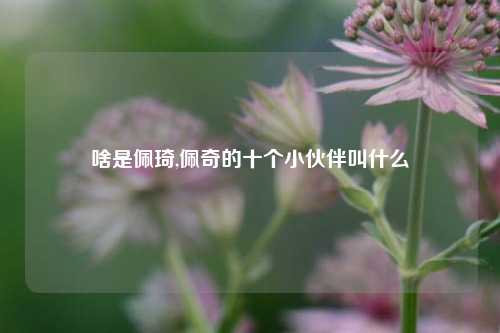啥是佩琦,佩奇的十个小伙伴叫什么