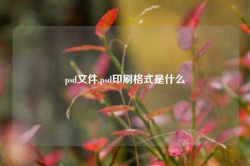 psd文件,psd印刷格式是什么
