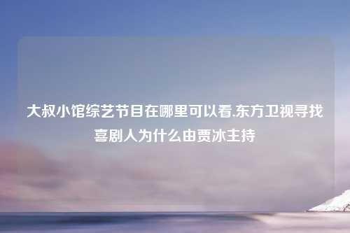 大叔小馆综艺节目在哪里可以看,东方卫视寻找喜剧人为什么由贾冰主持