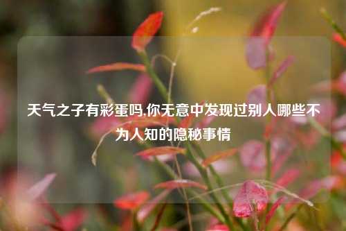 天气之子有彩蛋吗,你无意中发现过别人哪些不为人知的隐秘事情