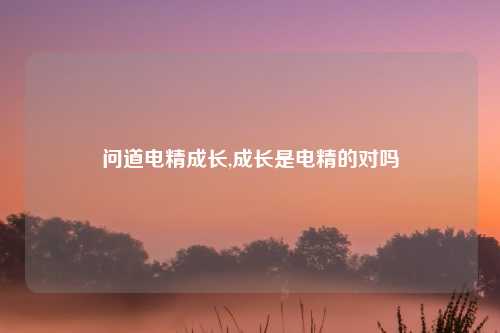 问道电精成长,成长是电精的对吗