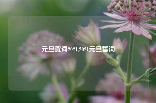元旦贺词2021,2021元旦誓词