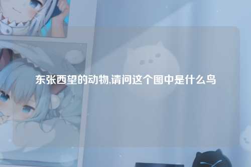 东张西望的动物,请问这个图中是什么鸟