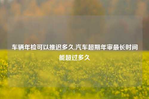 车辆年检可以推迟多久,汽车超期年审最长时间能超过多久