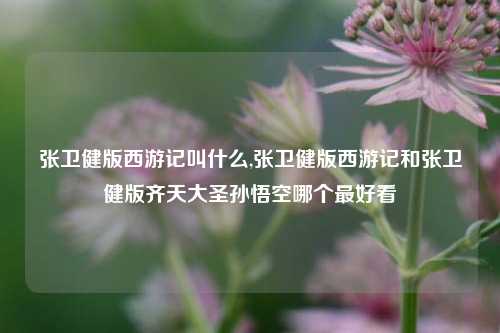 张卫健版西游记叫什么,张卫健版西游记和张卫健版齐天大圣孙悟空哪个最好看