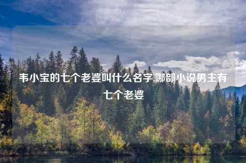 韦小宝的七个老婆叫什么名字,哪部小说男主有七个老婆