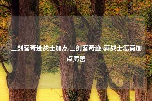 三剑客奇迹战士加点,三剑客奇迹6满战士怎莫加点厉害
