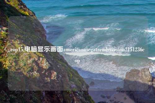 cop15,电脑显示画面americanmegatrendsversion2151236cop
