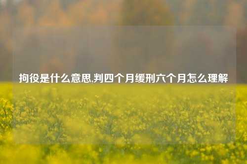 拘役是什么意思,判四个月缓刑六个月怎么理解