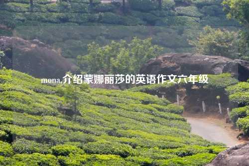 mona,介绍蒙娜丽莎的英语作文六年级