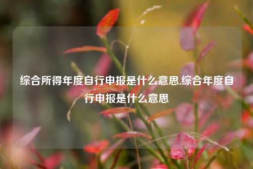 综合所得年度自行申报是什么意思,综合年度自行申报是什么意思