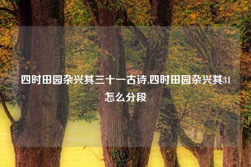 四时田园杂兴其三十一古诗,四时田园杂兴其31怎么分段